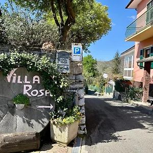 Rosa Ne